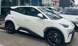 比亚迪海鸥爆料视频,轻巧灵动，续航升级，引领城市出行新风尚